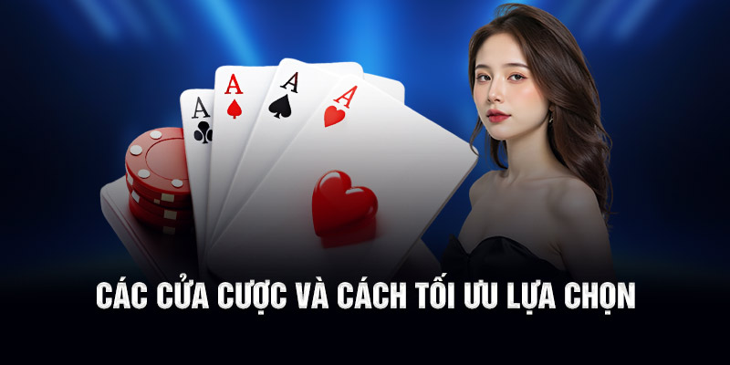 Các cửa cược và cách tối ưu lựa chọn